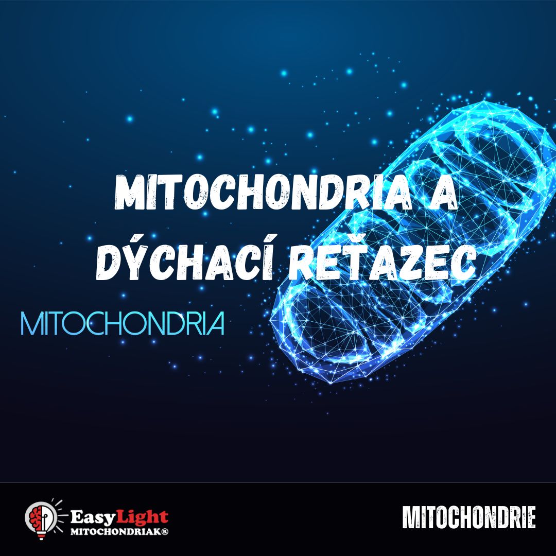 SK Mitochondria, dýchací reťazec, tvorba ATP, tvorba deutéria zbavenej vody Blog EasyLight Mitochondriak
